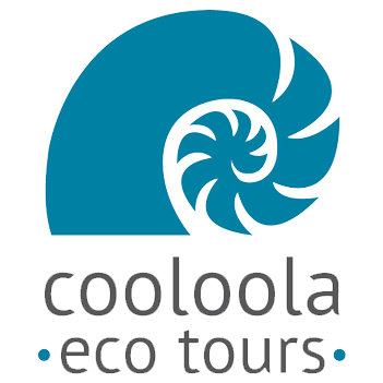 Cooloola Eco Tours